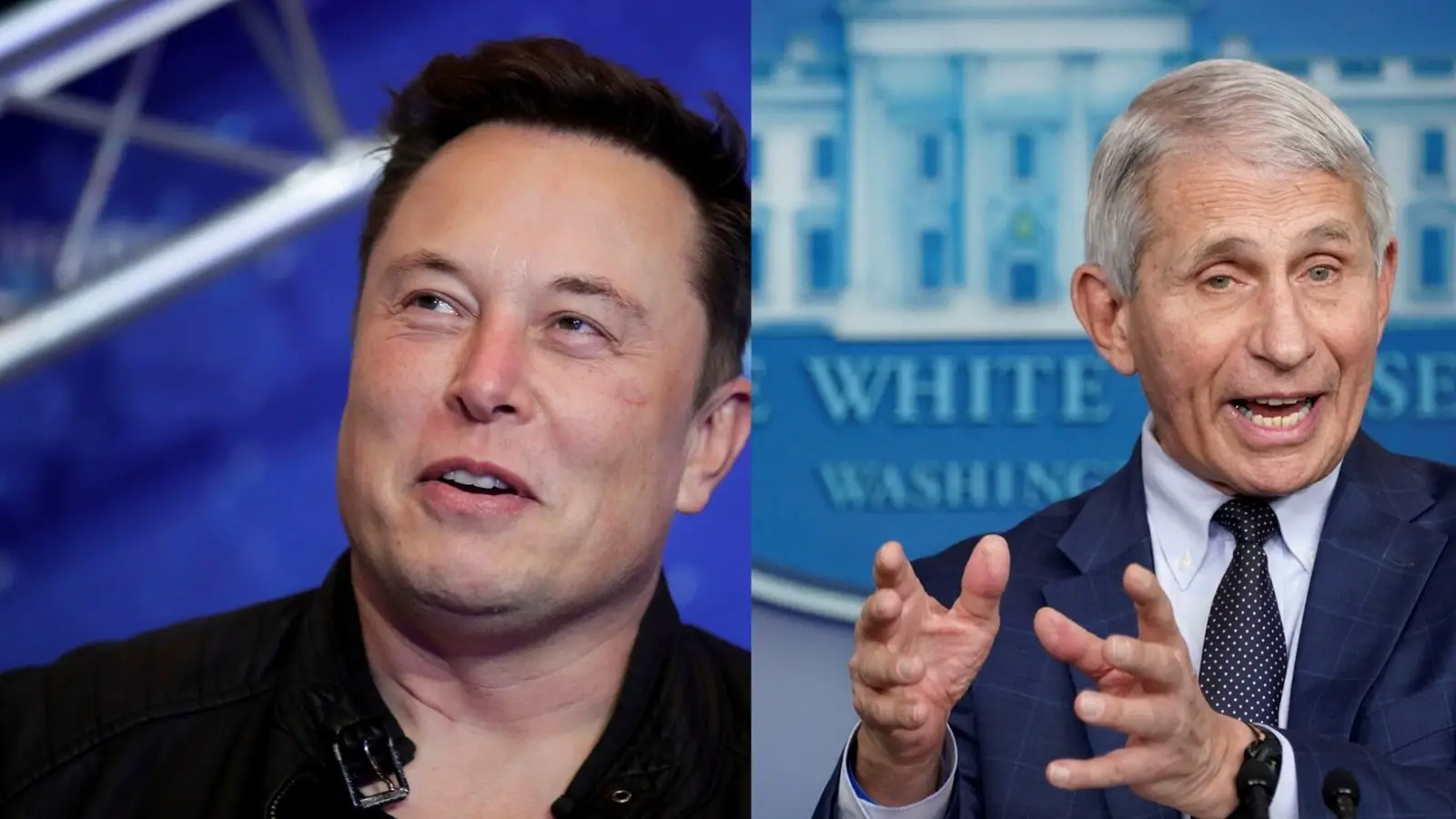 In newest dig, Elon Musk targets Fauci: ‘My pronouns are prosecute or…’ | World Information