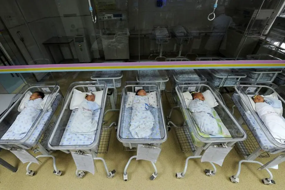 As China's Birth Rate Slumps, Political Advisor Urges Egg Freezing for Single Women