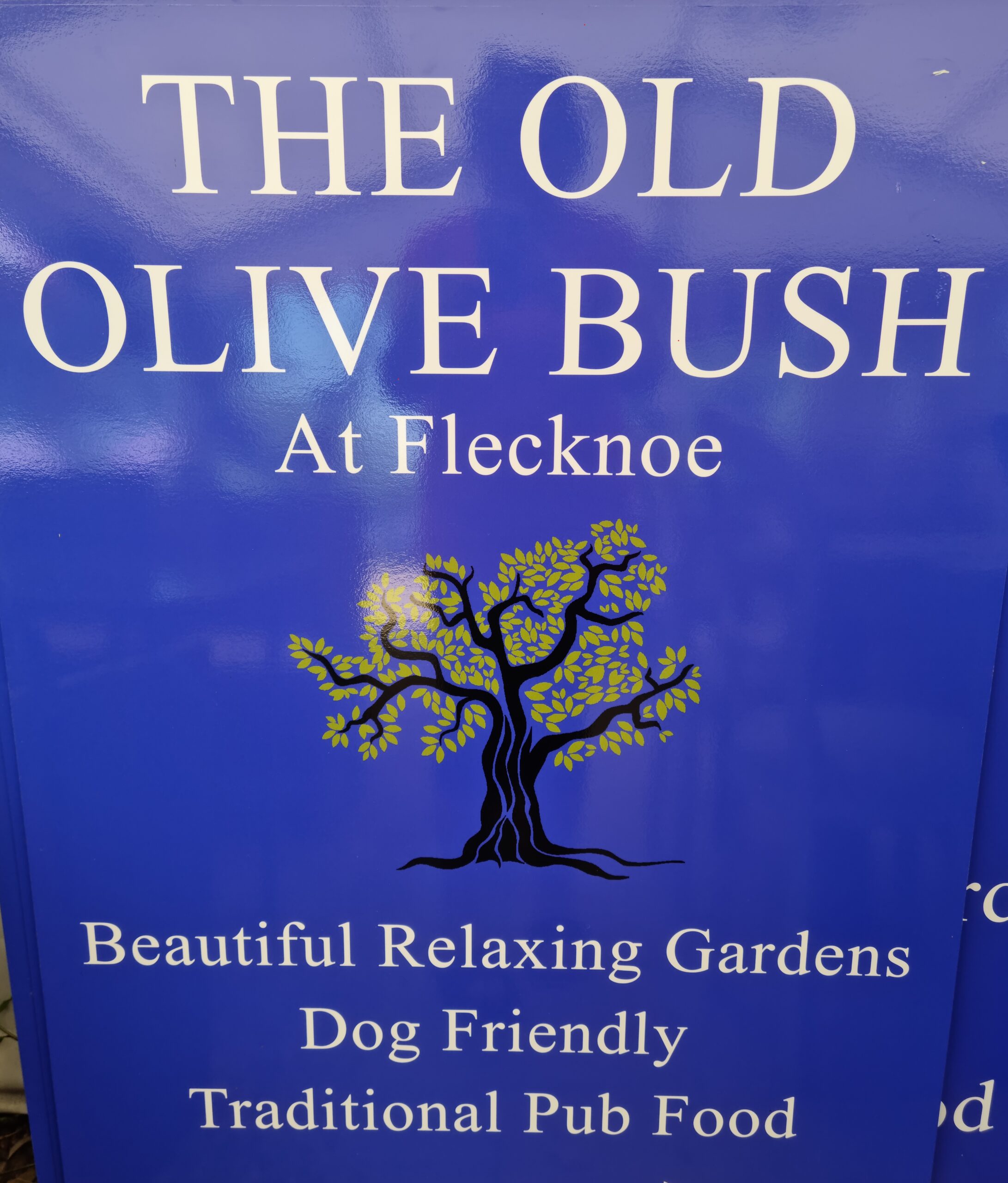 The Old Olive Bush, Flecknoe